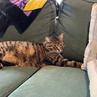 Xena